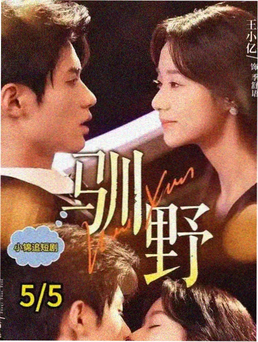 地铁末班车备忘录 标本条目封面